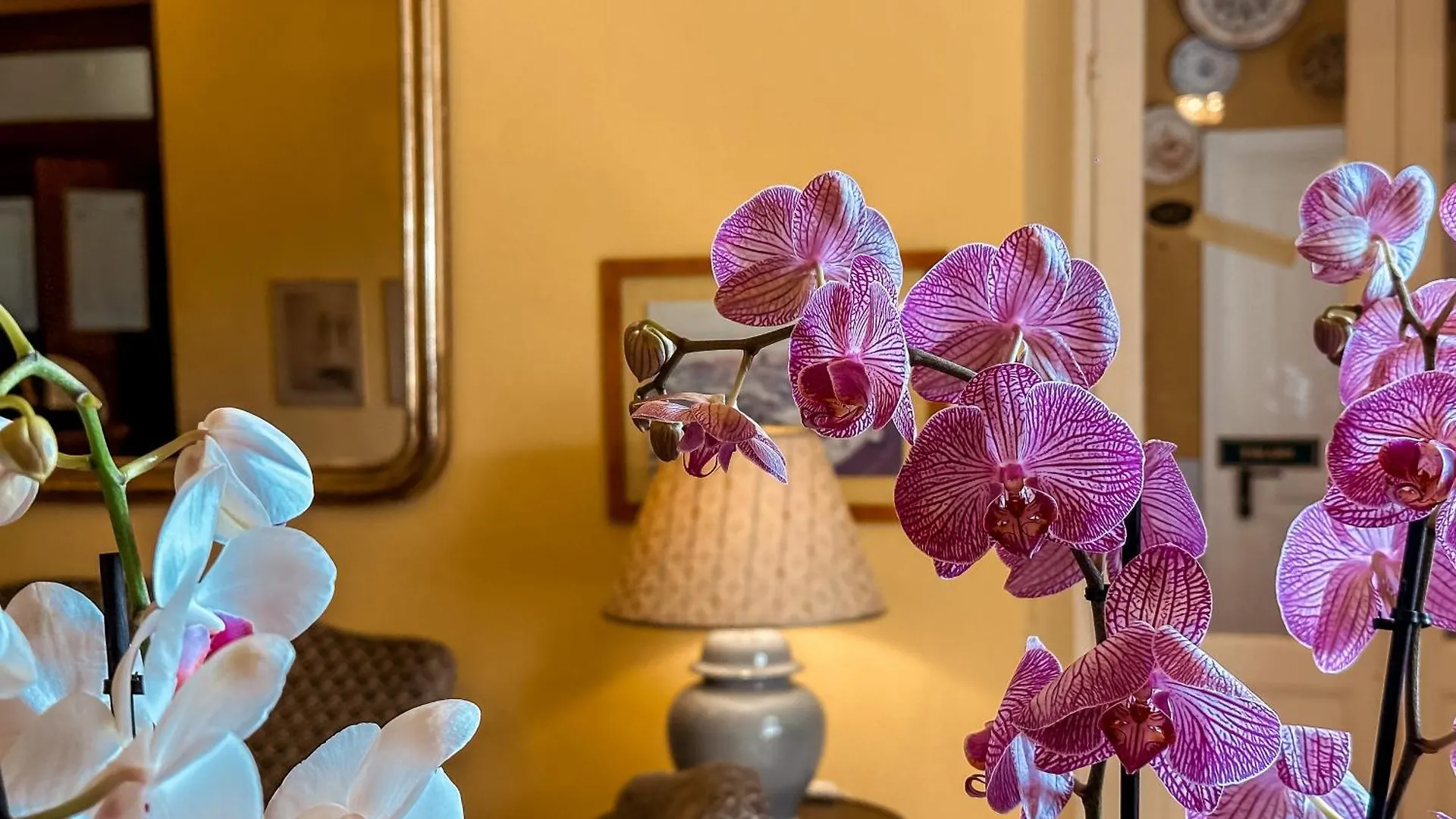 Hotel Villa Anita Santa Margherita Ligure